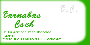 barnabas cseh business card